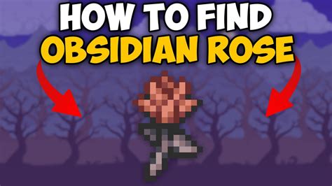 terraria obsidian rose drop rate.